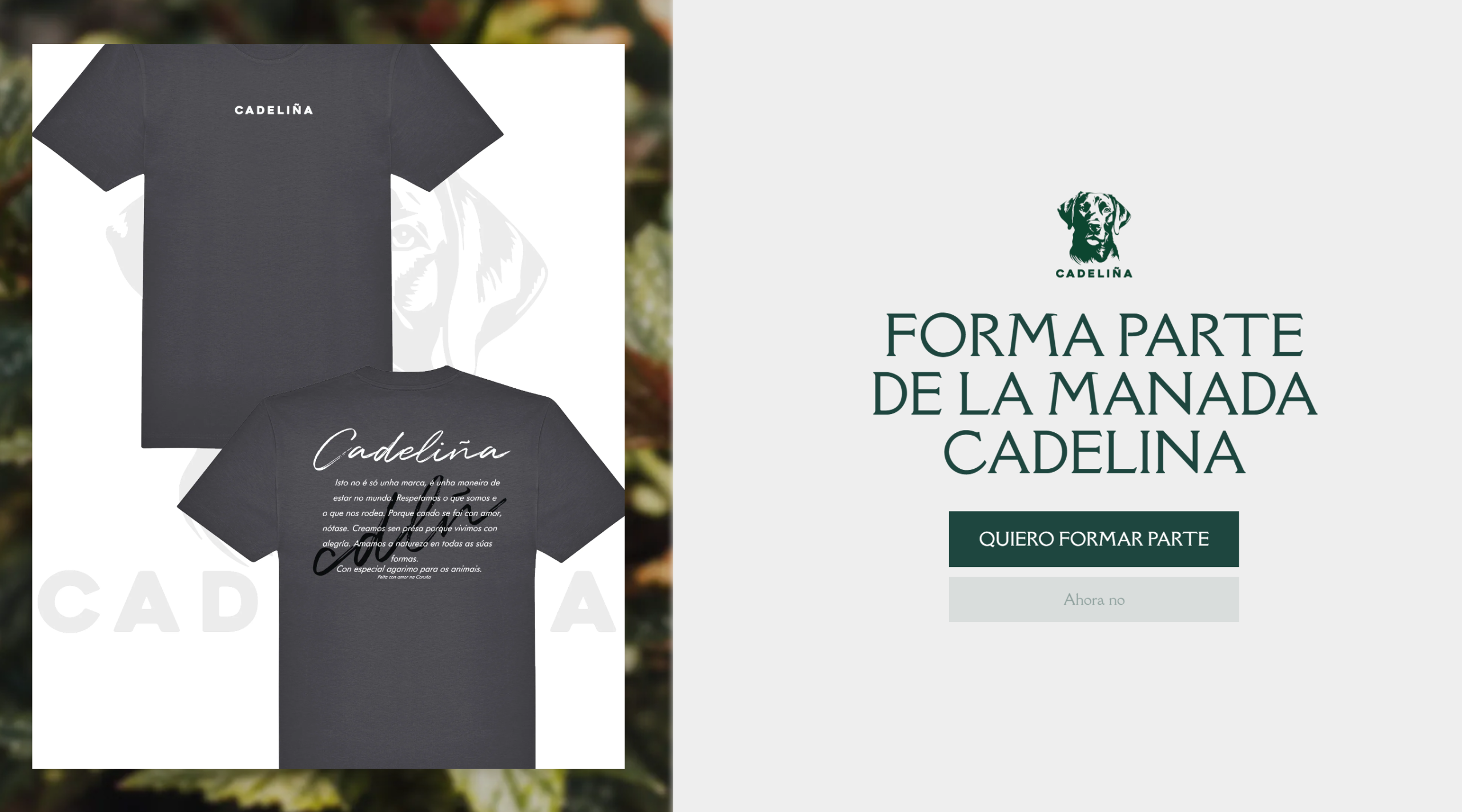 Cadelina – Tienda online